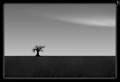 minimalismus_2.jpg